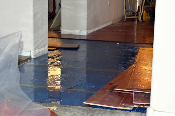 Professional Burst Pipe Cleanup technician working in Hunter, TN